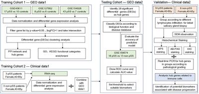 Integrated Bioinformatics and Validation Reveal Potential Biomarkers Associated With Progression of Primary Sjögren’s Syndrome